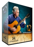 12 String Acoustic Guitar