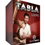 Tabla Loops